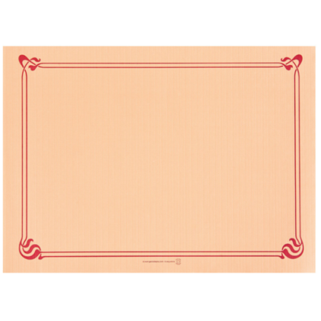 MANTELIN 31X43CM SALMON CELULOSA 48GR