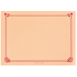 MANTELIN 31X43CM SALMON CELULOSA 48GR