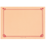 MANTELIN 31X43CM SALMON CELULOSA 48GR